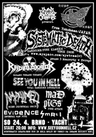 SYSTEMATIC DEATH, RADIOLOKÁTOR, SEE YOU IN HELL, MAD PIGS, NAPALMED, EVIDENCE SMRTI
