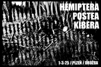 HEMIPTERA (uk)//POSTEA//KIBERA