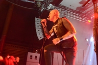 WOLFBRIGADE, Chemnitz - AJZ Talshock, 7.12.24