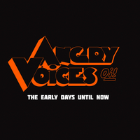 Angry Voices, nové LP u Knockout Booking & Records